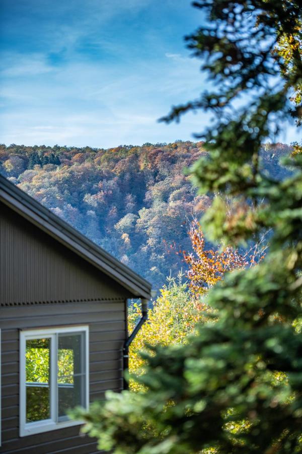 Le Chalet Vresse-sur-Semois Luaran gambar